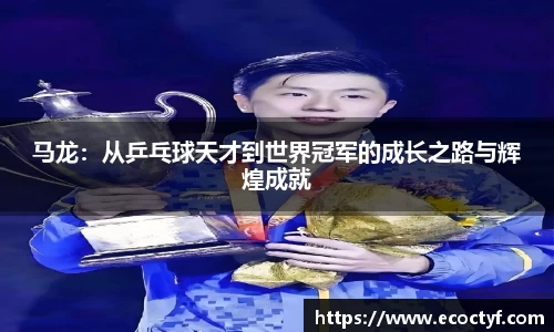 BoB半岛·体育中国官方网站