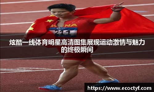 BoB半岛·体育中国官方网站