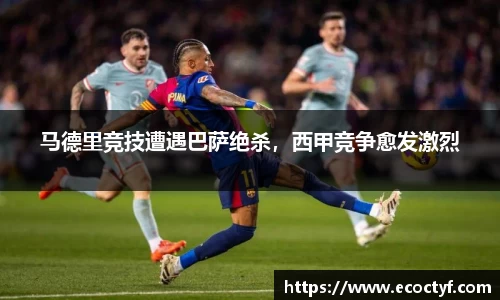 BoB半岛·体育中国官方网站