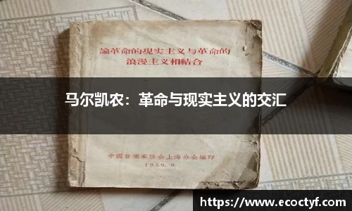 半岛·BOB官方网站