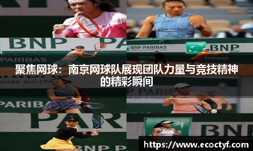 半岛bob·官方网站