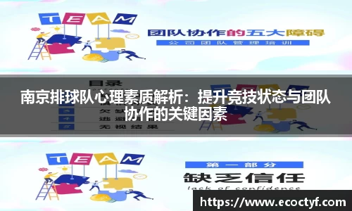 BoB半岛·体育中国官方网站