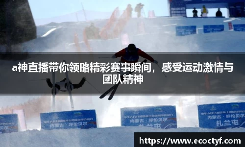 半岛·BOB官方网站