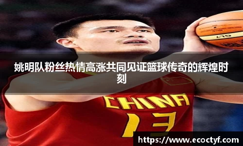 BoB半岛·体育中国官方网站