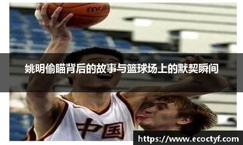 半岛·BOB官方网站