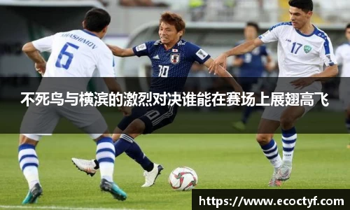 BoB半岛·体育中国官方网站