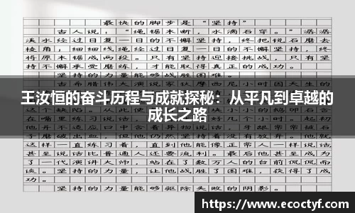 王汝恒的奋斗历程与成就探秘：从平凡到卓越的成长之路