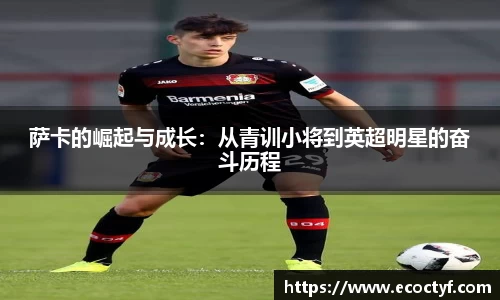 BoB半岛·体育中国官方网站