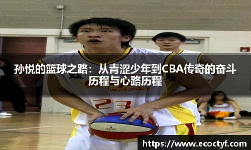 BoB半岛·体育中国官方网站