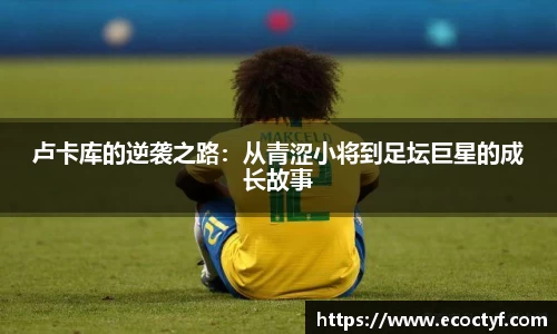 半岛bob·官方