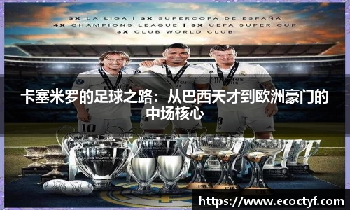 半岛·BOB官方网站