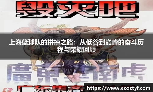BoB半岛·体育中国官方网站