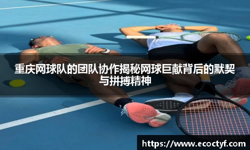 半岛bob·官方