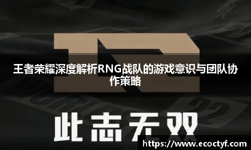 王者荣耀深度解析RNG战队的游戏意识与团队协作策略