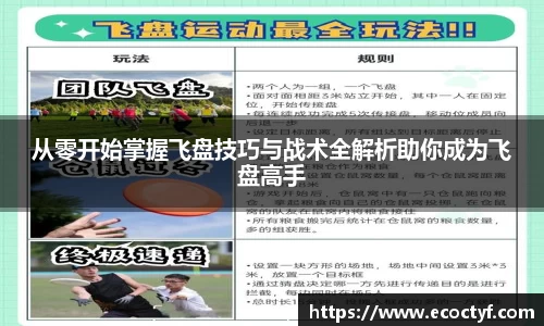 从零开始掌握飞盘技巧与战术全解析助你成为飞盘高手